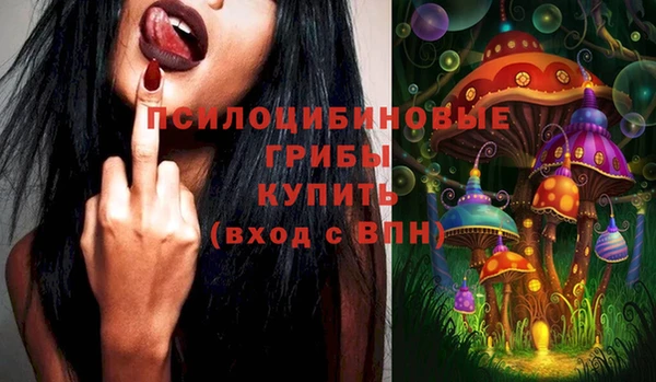 дживик Вязники