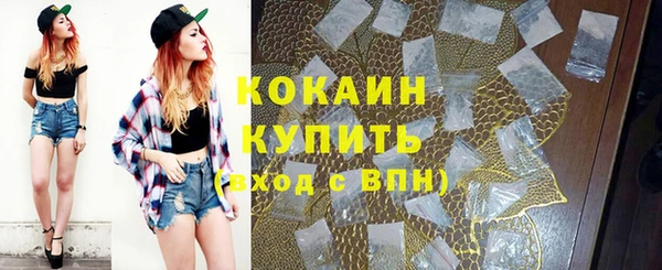 дживик Вязники