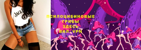 дживик Вязники