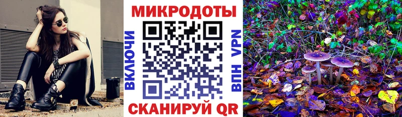 Псилоцибиновые грибы мицелий Южа